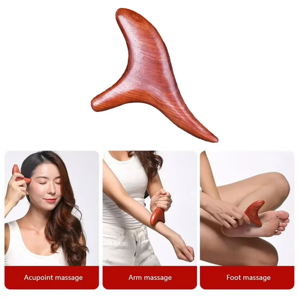 Home Gym Manual - 1 Outil de massage professionnel en