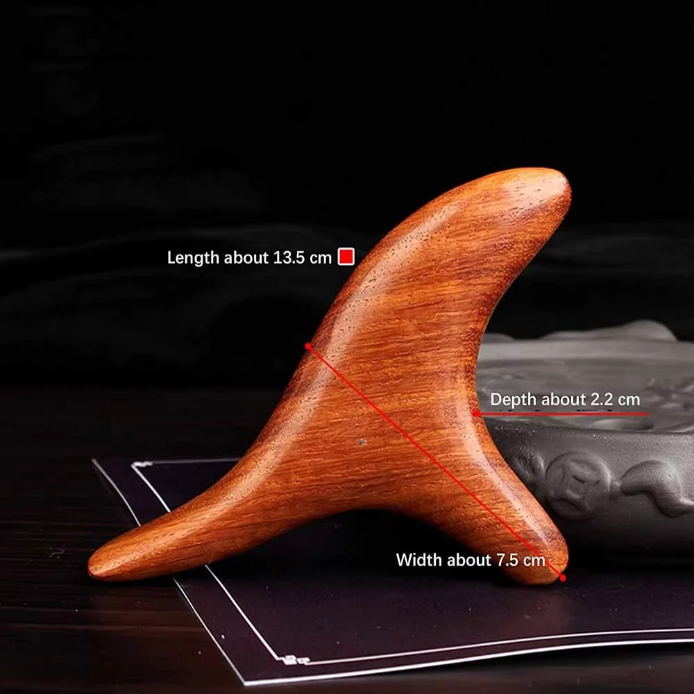 Home Gym Manual - Outil de massage professionnel en bois