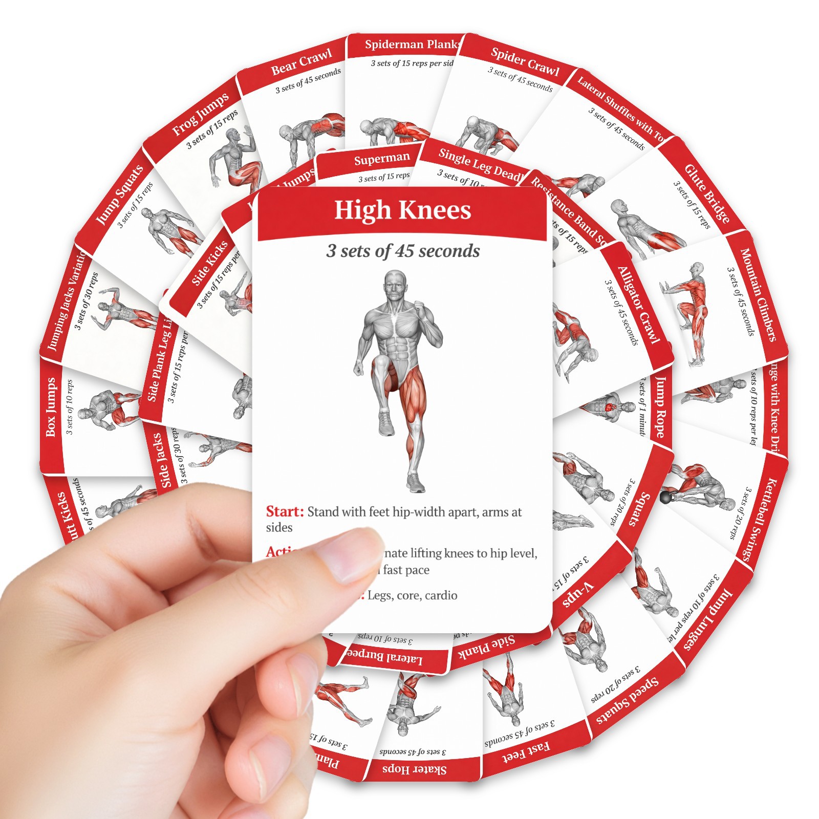 Home Gym Full Setup - Cartes de guide d'entraînement pour brûler