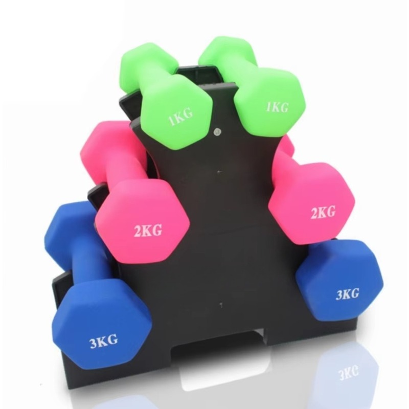 Support de rangement pour halt - Home Gym Rack avis et prix