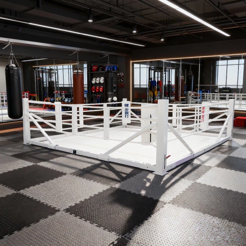 Ensemble de ring de boxe pliab - Home Gym Equipment Set avis et prix