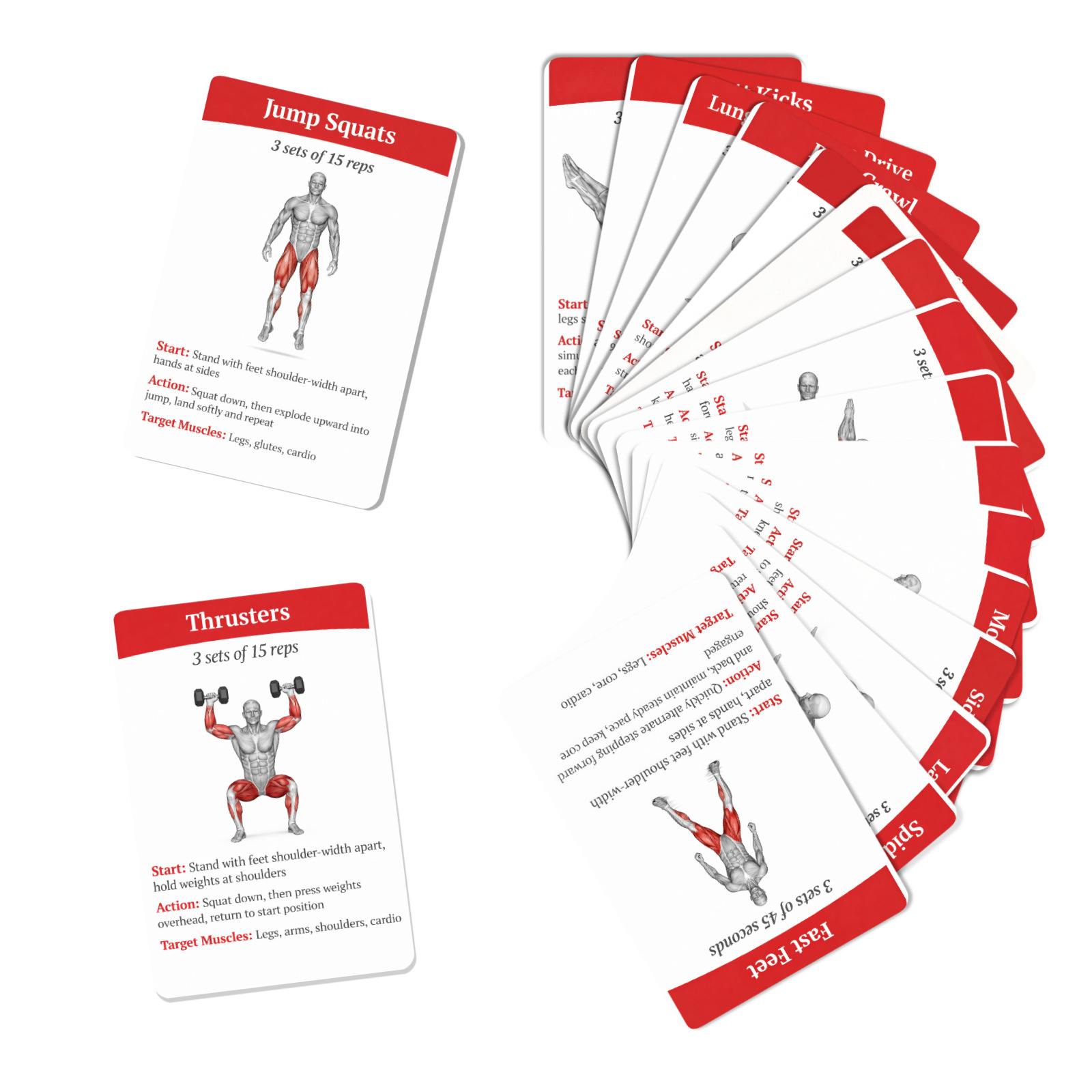 Cartes de guide d'entraînement - Home Gym Full Setup avis et prix