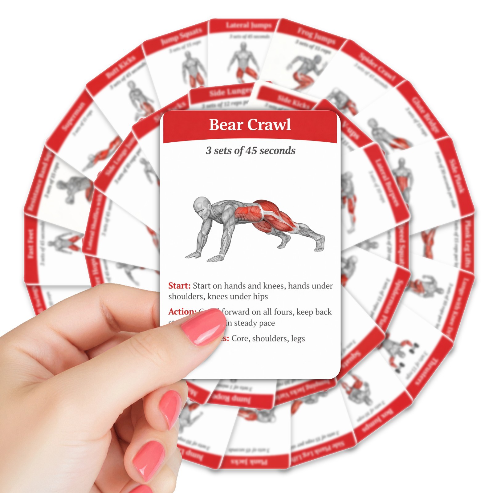 Cartes de guide d'entraînement - Home Gym Full Setup avis et prix